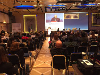 11° European Congress of aesthethic medicine, Rome 2016